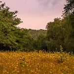 Chez Sabine Et Eric Maison Pour 6 Personnes Avec Piscine Chauffee Et Jacuzzi Prive *