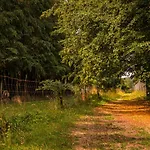Chez Sabine Et Eric Maison Pour 6 Personnes Avec Piscine Chauffee Et Jacuzzi Prive בית נופש