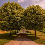 Chez Sabine Et Eric Maison Pour 6 Personnes Avec Piscine Chauffee Et Jacuzzi Prive בית נופש *