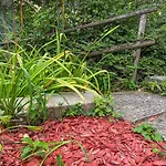 Chez Sabine Et Eric Maison Pour 6 Personnes Avec Piscine Chauffee Et Jacuzzi Prive * Andenne