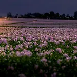 בית נופש Chez Sabine Et Eric Maison Pour 6 Personnes Avec Piscine Chauffee Et Jacuzzi Prive *