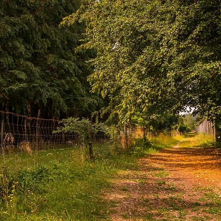 Chez Sabine Et Eric Maison Pour 6 Personnes Avec Piscine Chauffee Et Jacuzzi Prive Дом отдыха