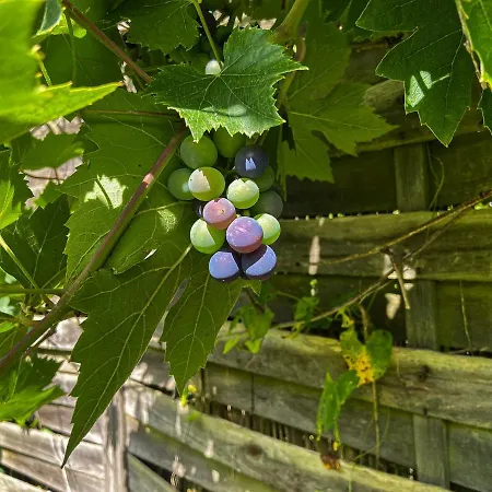Chez Sabine Et Eric Maison Pour 6 Personnes Avec Piscine Chauffee Et Jacuzzi Prive Andenne